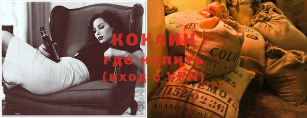 спайс Богданович