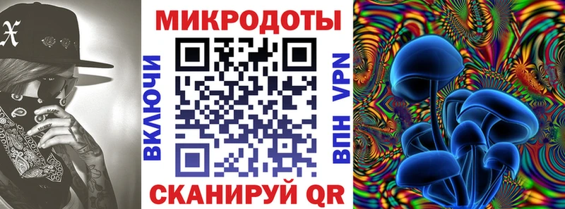 Псилоцибиновые грибы Psilocybe  как найти   Старая Купавна 